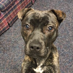 Meet your Posher, Erin